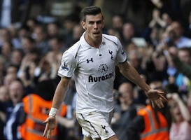 Fan Tottenham ngẩn tò te sau khi ăn mừng hụt