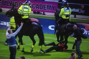 Nhân viên an ninh bị ngựa giẫm lên người