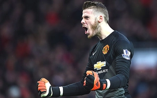 Màn trình diễn siêu đẳng của thủ môn David De Gea trong năm 2014