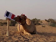 Lạc đà tiên tri dự đoán Pháp tiễn Đức về nước