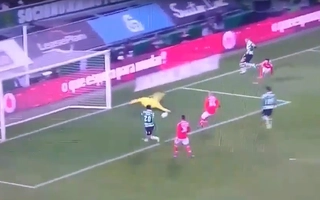 Pha bỏ lỡ đáng kinh ngạc