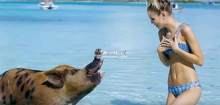 Nhà tài trợ đội bóng Premier League toàn đăng clip mát mẻ