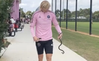 Video: Cầu thủ bắt rắn bằng tay không ở MLS