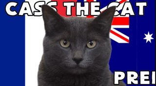 Mèo tiên tri dự đoán kết quả trận Pháp vs Úc