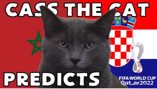 Mèo tiên tri dự đoán đội thắng ở cặp Ma-Rốc vs Croatia