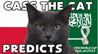 Mèo tiên tri dự đoán sẽ có bất ngờ ở trận Ba Lan vs Ả Rập Xê Út