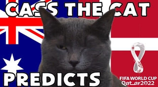 Mèo tiên tri dự đoán kết quả trận Australia vs Đan Mạch