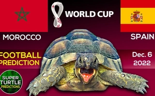 Thần Rùa dự đoán thế nào về cặp đấu Morocco vs Tây Ban Nha?