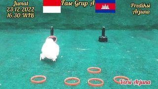 Chim thần dự đoán kết quả trận Indonesia vs Campuchia (AFF Cup 2022)