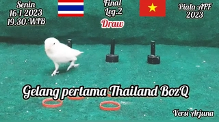 Chim thần dự đoán kết quả trận Thái Lan vs Việt Nam