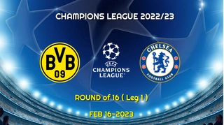 Đại bàng Romeo dự đoán tỷ số trận Dortmund vs Chelsea