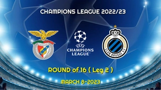 Đại bàng tiên tri dự đoán kết quả trận Benfica vs Club Brugge
