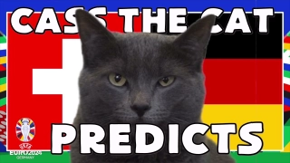 Mèo tiên tri dự đoán sốc về kết quả trận đấu Thụy Sĩ và Đức 