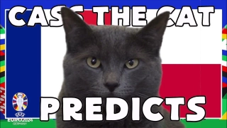 Bất ngờ với kết quả dự đoán trận Pháp - Ba Lan của mèo tiên tri