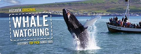 Nếu thua Iceland, tuyển Anh sẽ được thưởng to