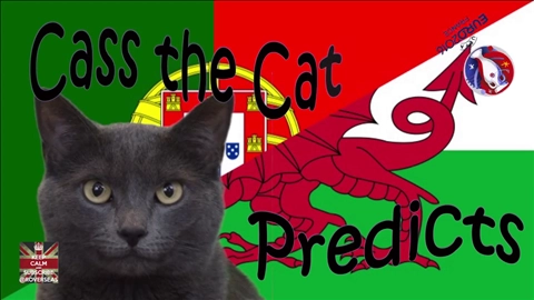 Tiên tri mèo dự đoán ra sao về trận bán kết Euro 2016, BĐN vs Wales