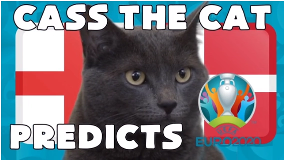 Mèo tiên tri dự đoán kết quả trận Anh vs Đan Mạch