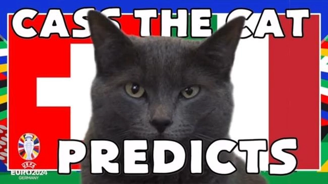 Mèo tiên tri dự đoán thế nào về trận đấu giữa Thụy Sĩ vs Italia?