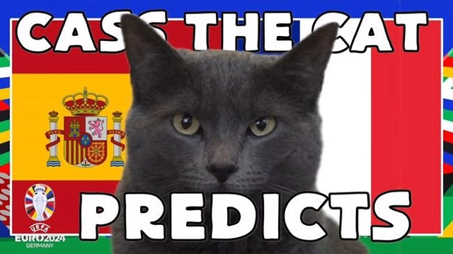 Mèo tiên tri dự đoán thế nào về trận Tây Ban Nha vs Pháp?
