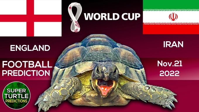 Rùa tiên tri dự đoán kết quả trận Anh vs Iran